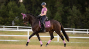 Rider on a horse wearing a purple dressage saddle pad during flatwork