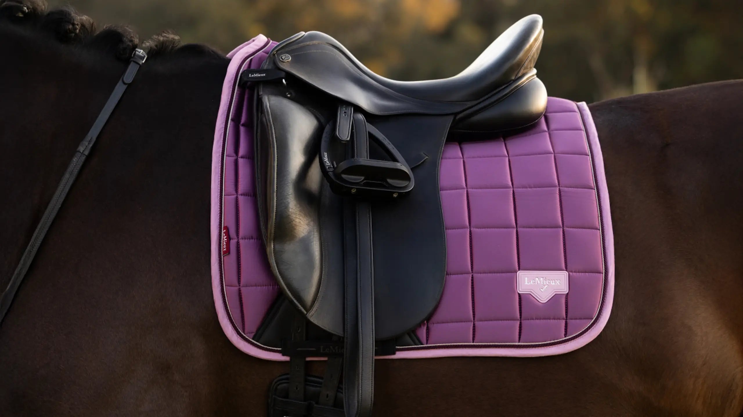 Close-up of purple quilted dressage saddle pad under a black saddle