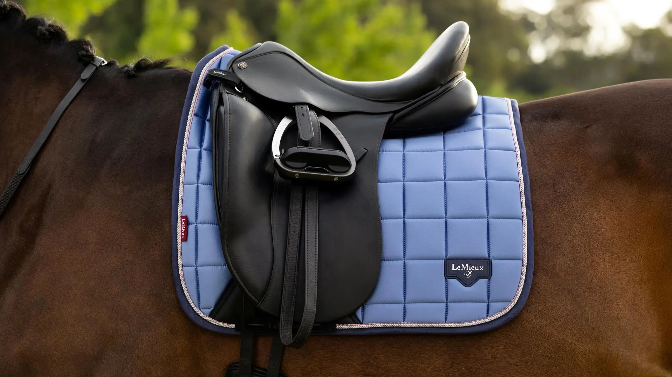 Close-up of light blue quilted dressage saddle pad under a black saddle