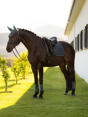 Horse standing on grass wearing a green dressage saddle pad under a black saddle
