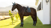 Horse standing outdoors wearing a green dressage saddle pad under a black saddle