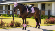 Horse standing on a walkway while wearing LeMieux Fondant saddle pad and accessories