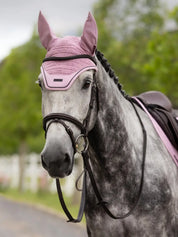 Gray horse with bridle wearing the LeMieux Essence Acoustic Fly Hood in pink