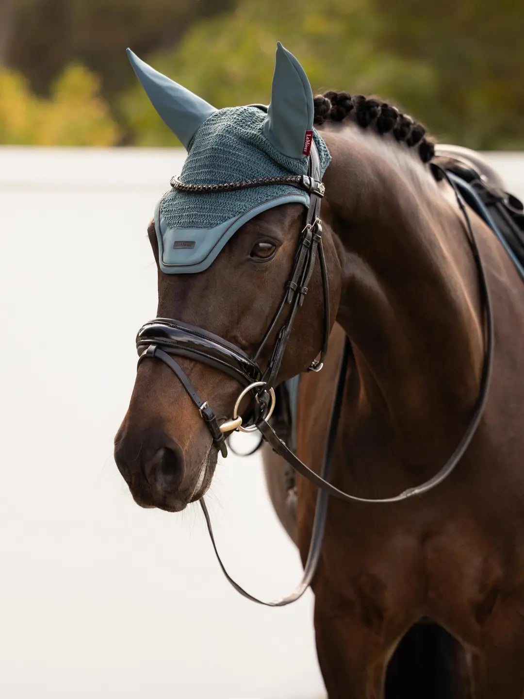Dark colored horse with bridle wearing the LeMieux Essence Acoustic Fly Hood in blue-green