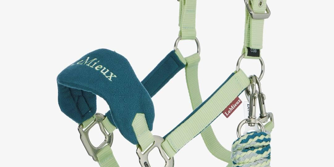 Side view of the macaron LeMieux Vogue Headcollar & Leadrope on a white background