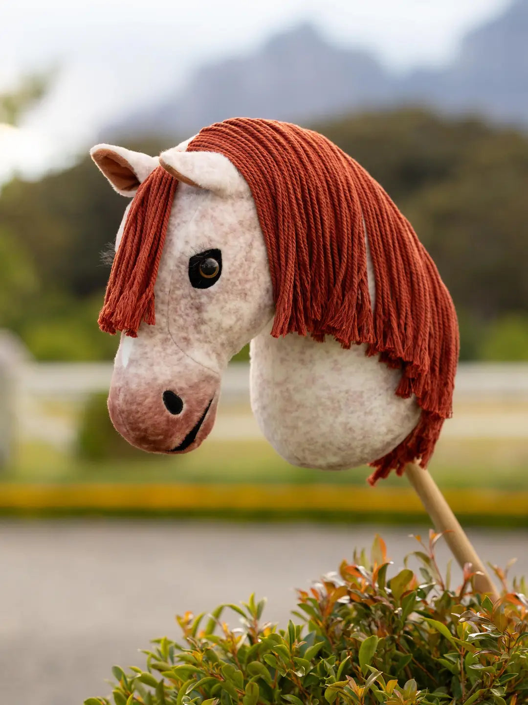 Side view of the Poppy roan LeMieux Hobby Horse outside