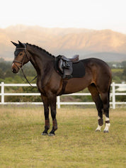 Side view of a dark colored horse wearing the black LeMieux Air-Tek Mesh Close Contact Square Pad while standing in a pasture