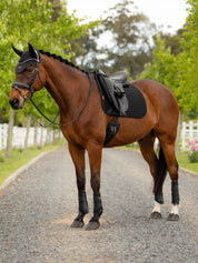 Side view of a bay horse wearing the black LeMieux Air-Tek Mesh Dressage Square Pad while standing on a gravel path