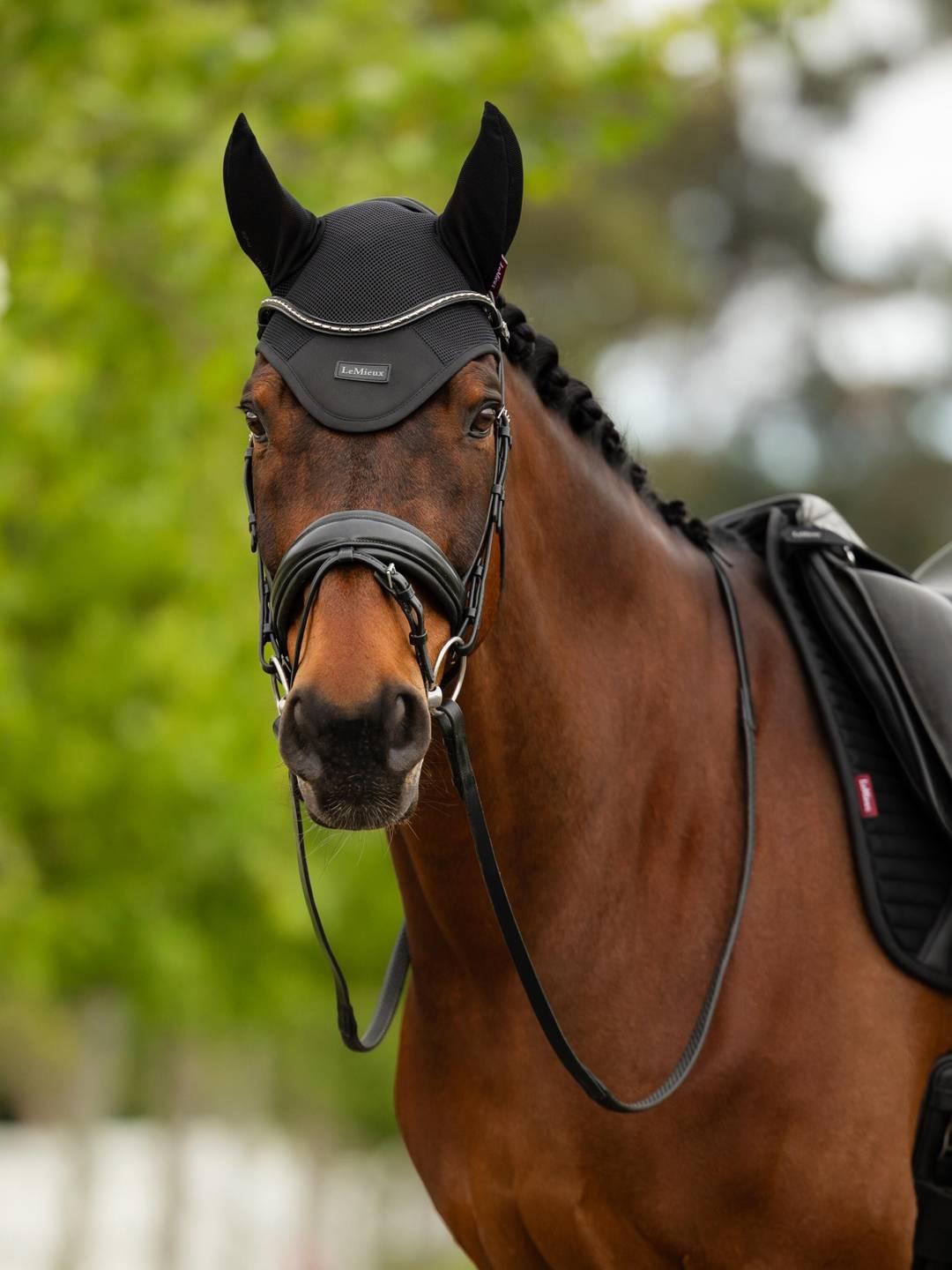 Front view of a bay horse wearing the black LeMieux Air-Tek Mesh Fly Hood while standing outside