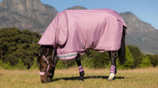 Brown horse grazing in a field wearing the Brown horse standing outside wearing the LeMieux Arika Ripstop 0G Turnout Rug in Fondant