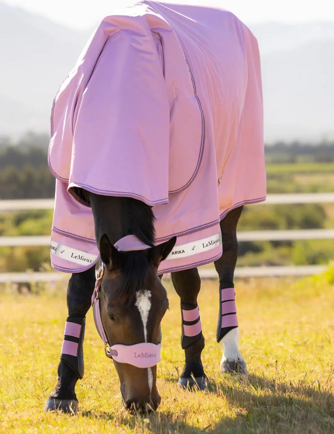 Brown horse grazing in a field wearing the LeMieux Arika Ripstop 0G Turnout Rug in Fondant