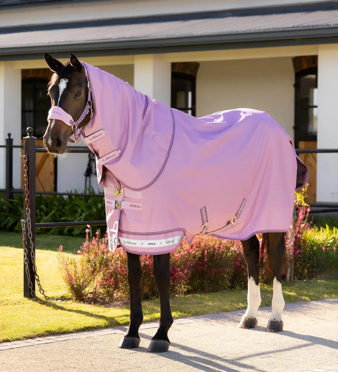Brown horse standing outside wearing the LeMieux Arika Ripstop 0G Turnout Rug in Fondant