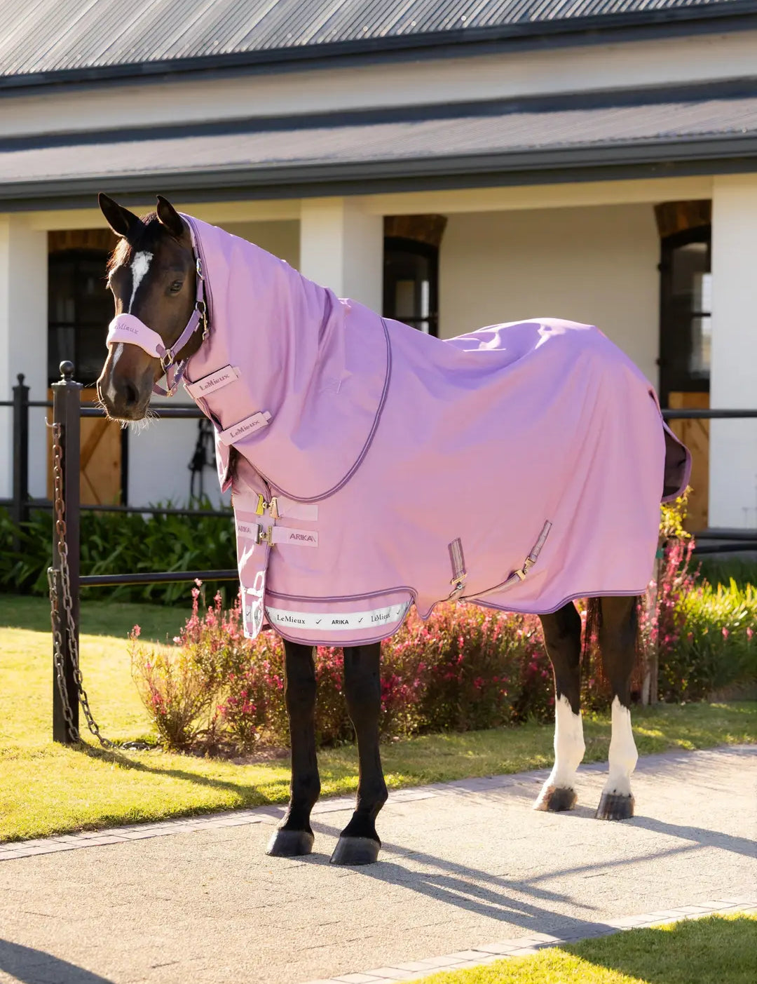 Brown horse standing outside wearing the LeMieux Arika Ripstop 0G Turnout Rug in Fondant