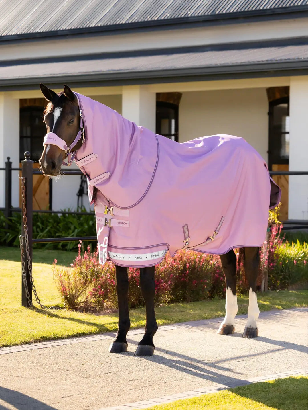 Brown horse standing outside wearing the LeMieux Arika Ripstop 0G Turnout Rug in Fondant