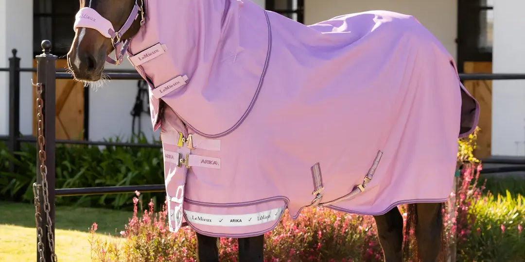 Brown horse standing outside wearing the LeMieux Arika Ripstop 0G Turnout Rug in Fondant