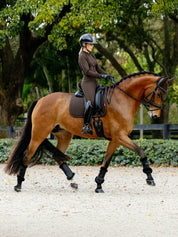 Side view of a female model trotting a bay horse wearing the brown LeMieux Brilliance Dressage Square and coordinating accessories