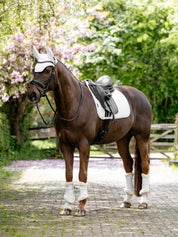 Angled front view of a dark colored horse wearing the white LeMieux Brilliance Dressage Square while standing on a brick path