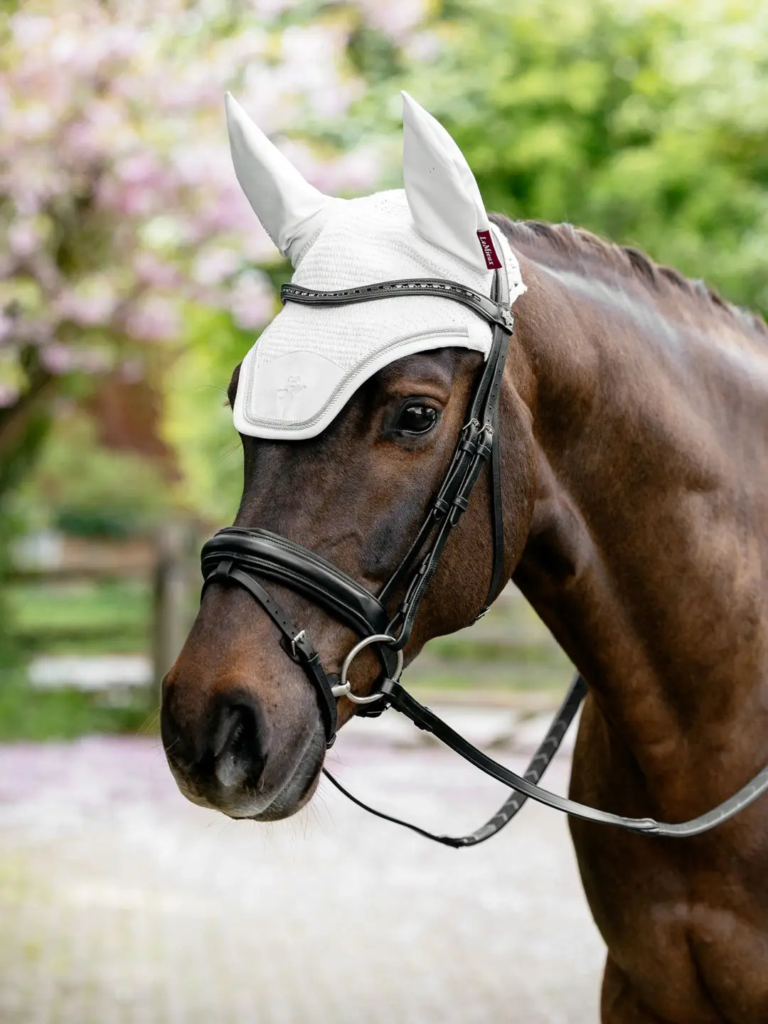 Angled front view of a dark color horse wearing the white LeMieux Brilliance Fly Hood while standing otuside