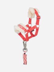 Side view of the coral LeMieux Harlow Toy Pony Headcollar & Leadrope on a white background