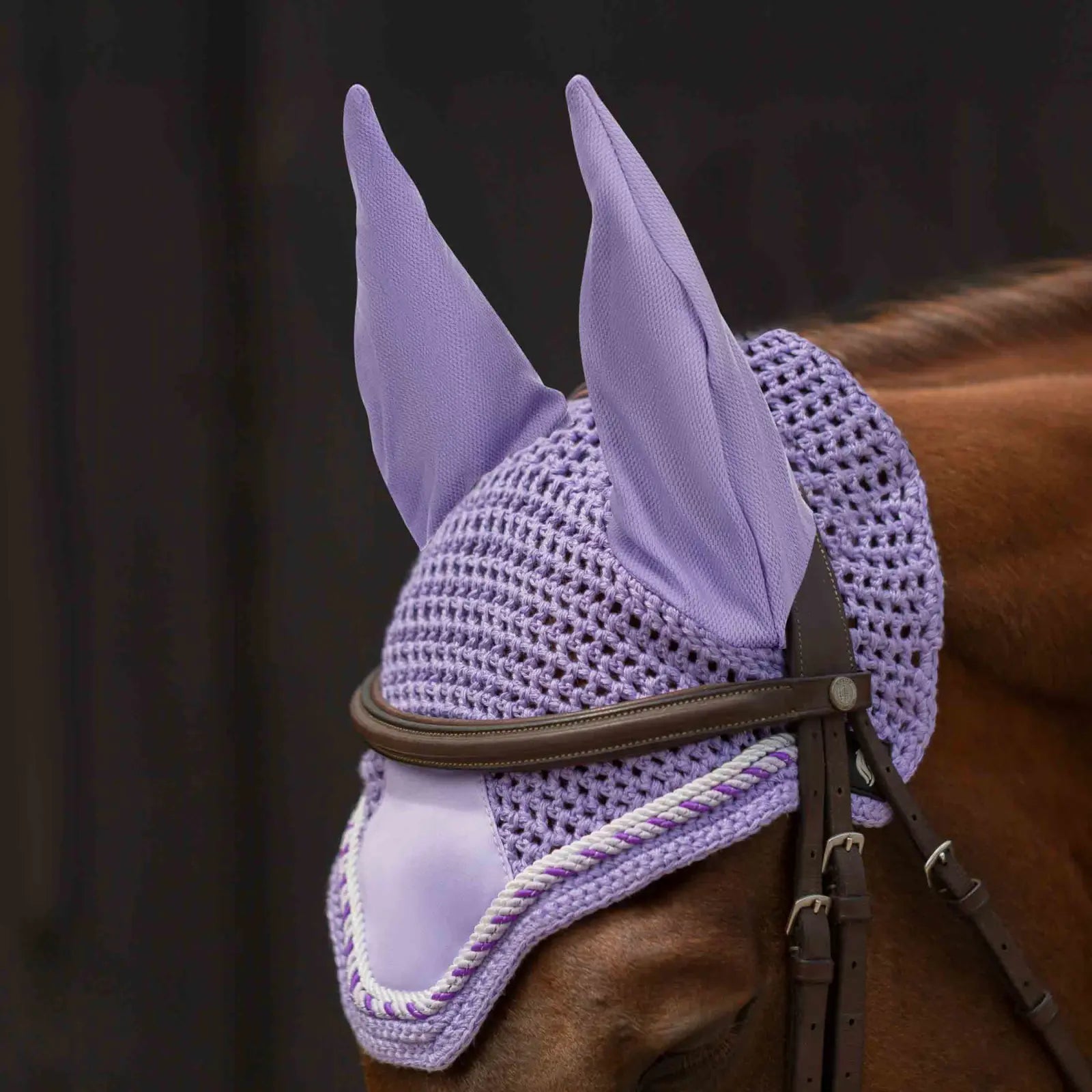 Close-up angled front view of a horse wearing the purple Equinavia Copenhagen Ear Net under a brown bridle