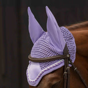 Close-up angled front view of a horse wearing the purple Equinavia Copenhagen Ear Net under a brown bridle