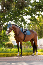 Bay horse standing outside on brick pavers, wearing the LeMieux Essence Close Contact Square in blue-green under a brown saddle