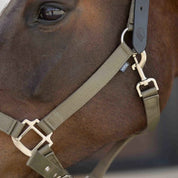 Close up of a bay horse wearing the Equinavia Loki Breakaway Halter in color light olive