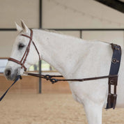 Side view of a gray horse wearing the brown and navy Equinavia Saga Lunge Surcingle