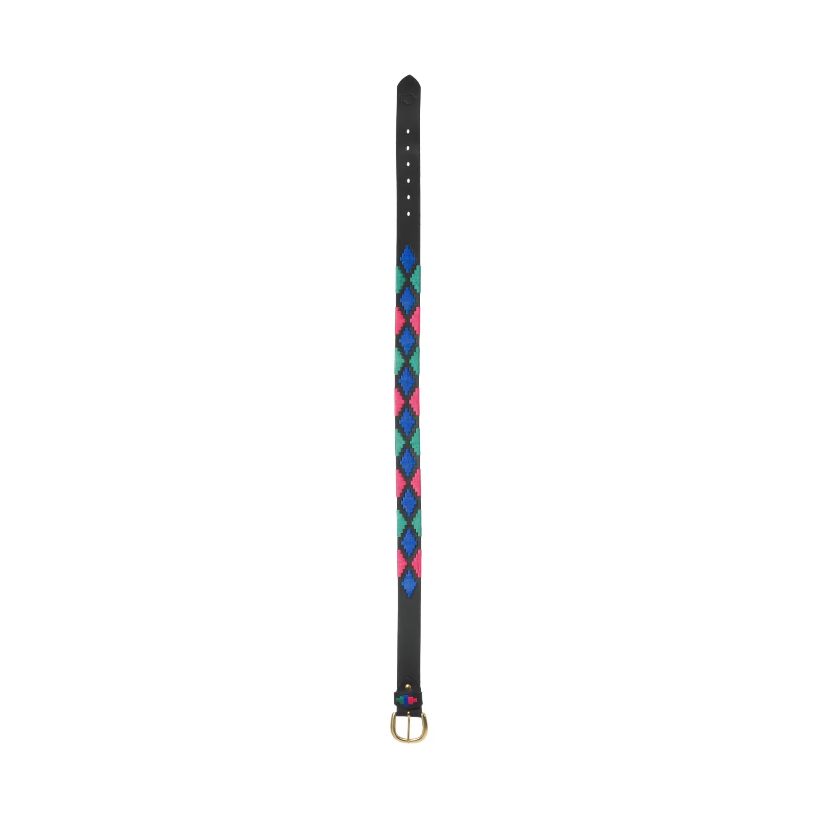 Full view of the red, green, and blue black-leather Equinavia Siri Polo Belt on a white background