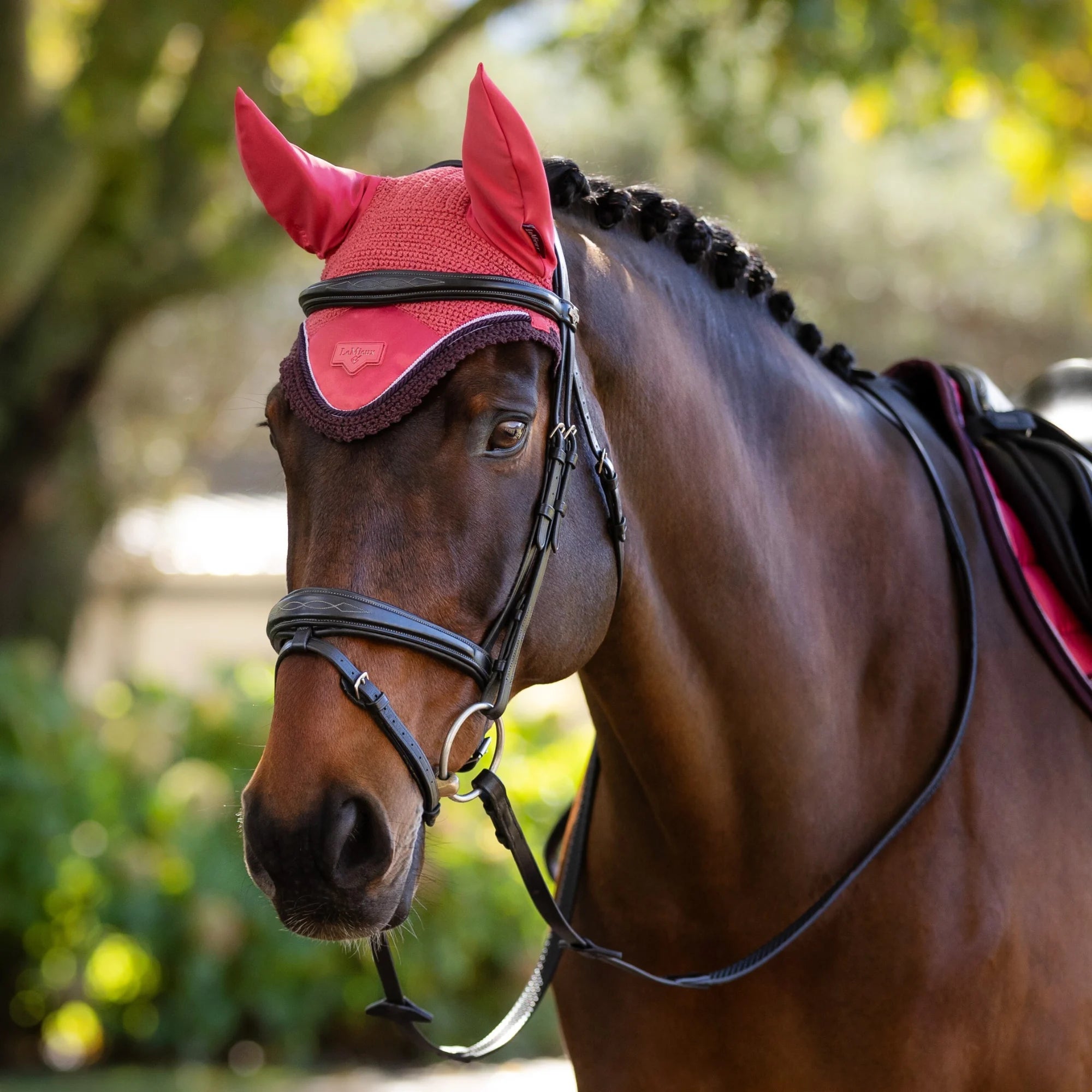 Front view of a dark colored horse wearing the cranberry LeMieux Loire Fly Hood while standing outside