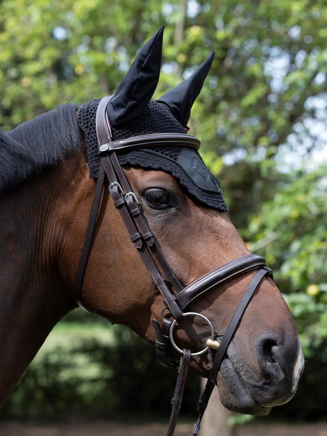 Side view of horse wearing LeMieux Acoustic Pro Fly Hood in black and a bridle