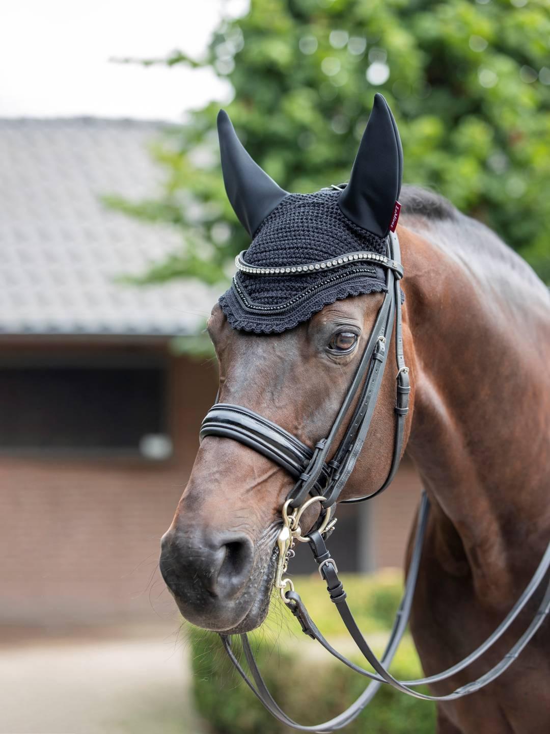 Front view of a dark colored horse wearing the black LeMieux Diamante Acoustic Ear Bonnet while standing outside