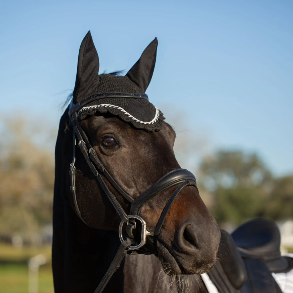Angled front view of a dark colored horse wearing the Equinavia Valkyrie Anatomic Dressage Bridle with Rubber Reins outside
