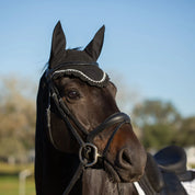 Angled front view of a dark colored horse wearing the Equinavia Valkyrie Anatomic Dressage Bridle with Rubber Reins outside