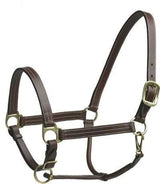 Camelot Leather Stable Halter