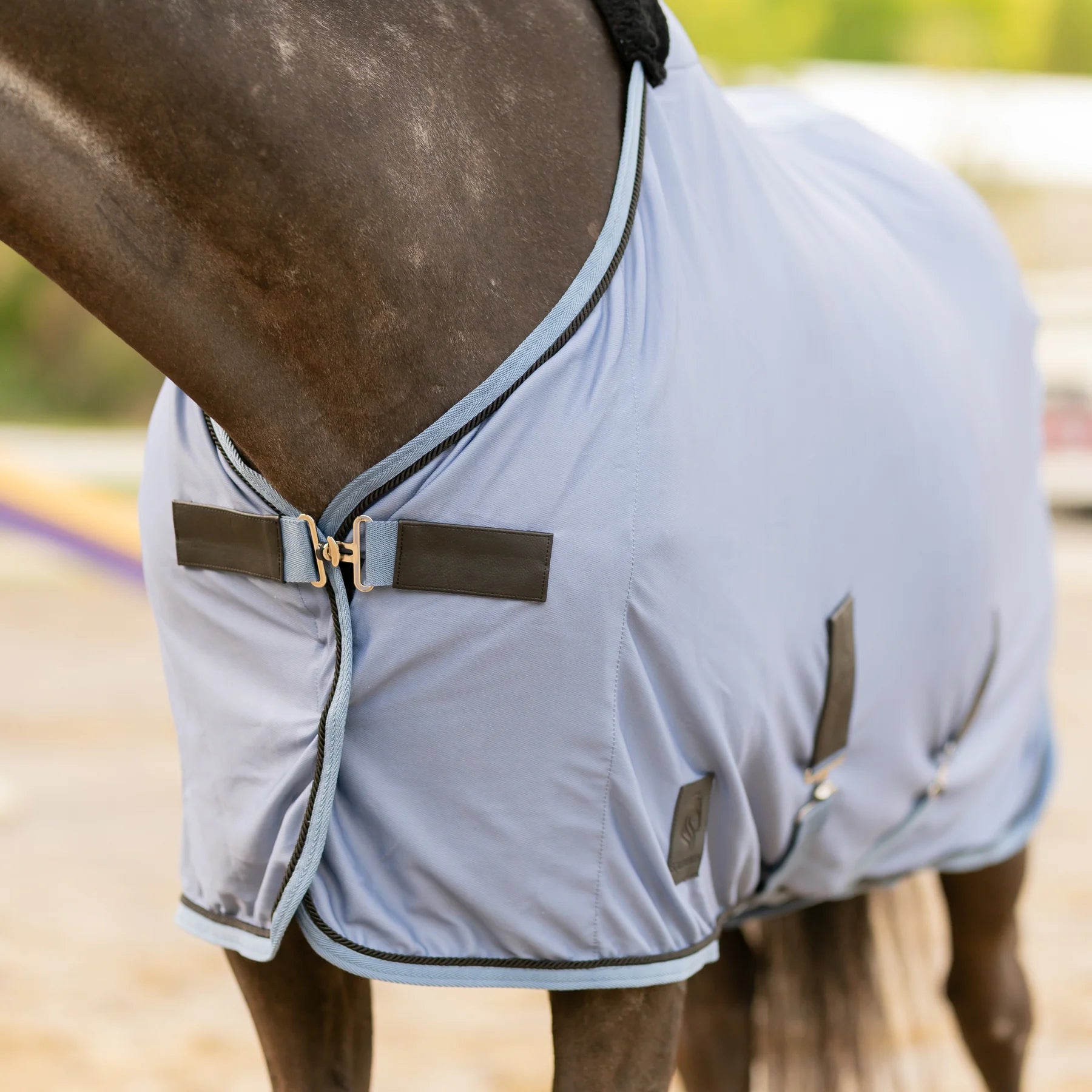 Angled front closeup view of a horse wearing Dusk Blue Equinavia Torr Quick Dry Cooler