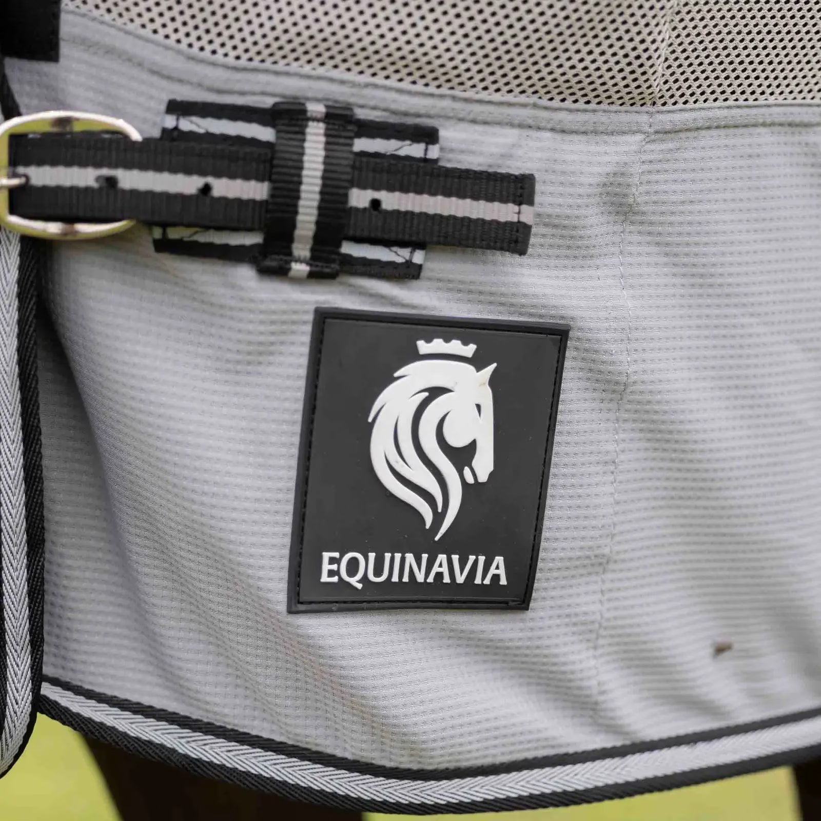 Close-up of Equinavia logo on slate grey sheet