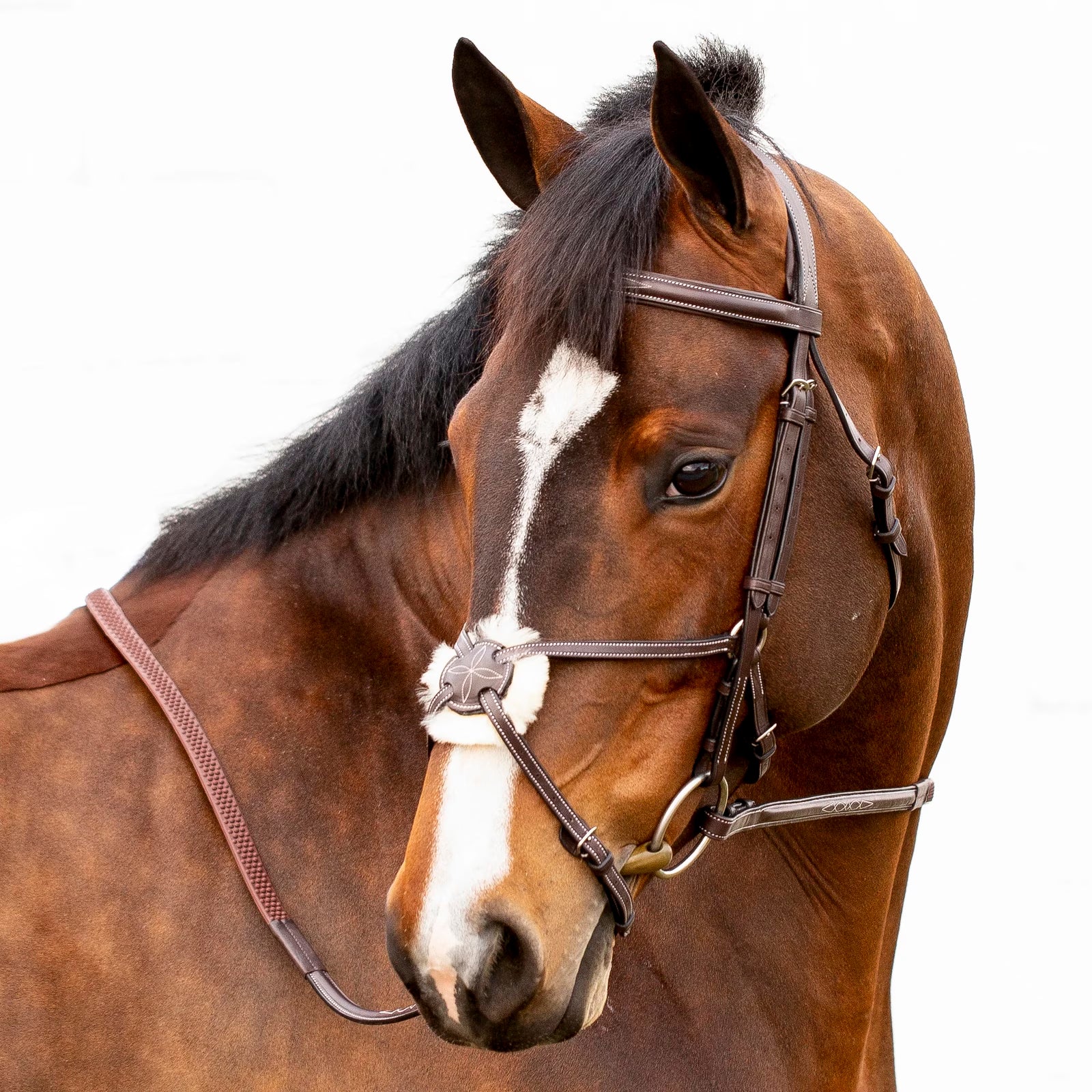 Angled front view of a bay horse wearing the Equinavia Valkyrie Fancy Stitched Figure 8 Bridle & Reins on a plain background