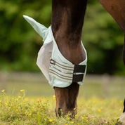 Underside view of horse outdoors wearing the Equinavia Algard Soft Mesh Fly Mask in Misty Jade