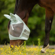 Side view of horse grazing wearing the Equinavia Algard Soft Mesh Fly Mask in Misty Jade