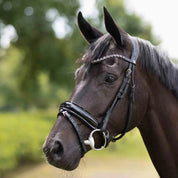 Angled side view of a black horse standing outside wearing the Horze Clermont Ergonomic Crystal Bridle in black