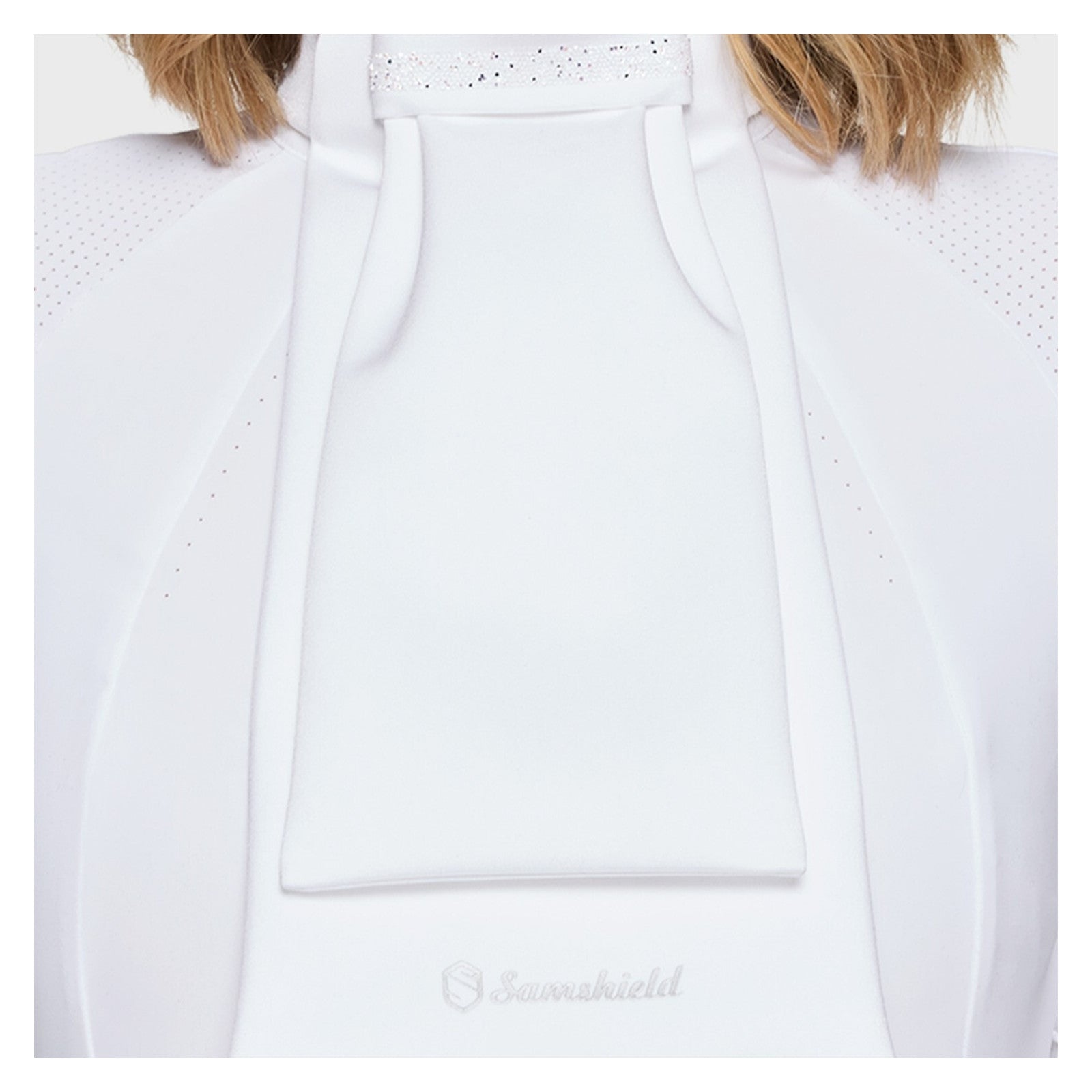 Front view of a model wearing the Holo Samshield Plastron Premium Stock Tie over a white show shirt