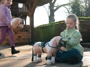 Video of children playing with the LeMieux Mini Hobby Horses outside