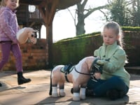 Video of children playing with the LeMieux Mini Hobby Horses outside