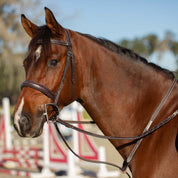 Side view of a bay horse wearing the brown Equinavia Valkyrie Wide Noseband Hunter Bridle with Laced Reins whilte standing in a jump arena