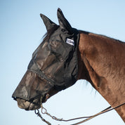 Side view of a bay horse wearing the black horse Cashel Quiet Ride Fly Mask with Long Nose and Ears while standing outside