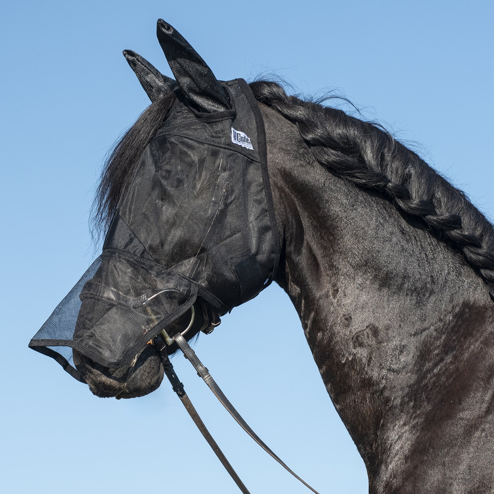 Side view of a black horse wearing the black warmblood Cashel Quiet Ride Fly Mask with Long Nose and Ears while standing outside