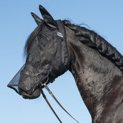 Side view of a black horse wearing the black warmblood Cashel Quiet Ride Fly Mask with Long Nose and Ears while standing outside
