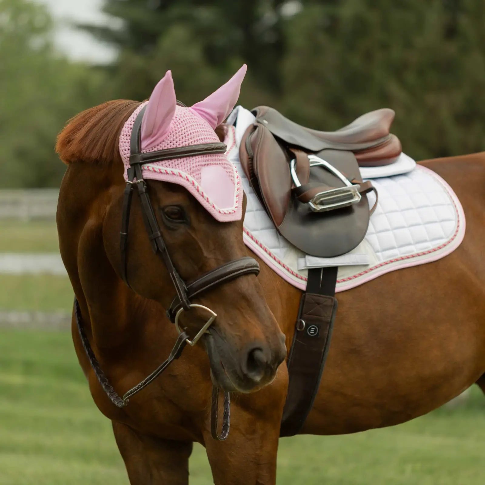 Angled front view of a horse wearing the pink Equinavia Copenhagen Ear Net and coordinating saddle pad under  brown tack