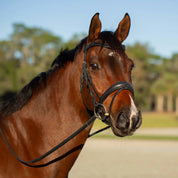 Angled front view of a bay horse wearing the Equinavia Valkyrie Anatomic Dressage Bridle with Rubber Reins outside